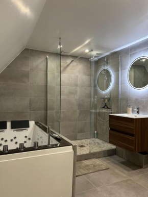 Charming Apartment with JACUZZI Centre Strasbourg Gare